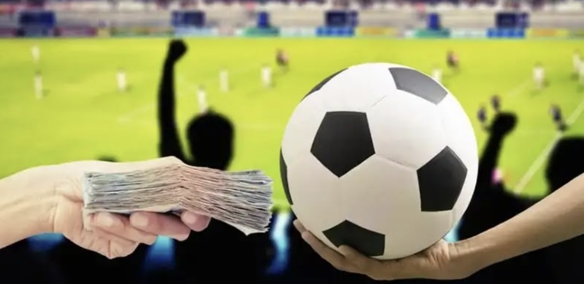 Reputable bookmaker brings perfect experience