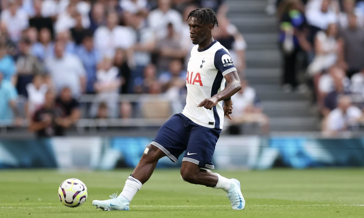 The Malian midfielder is Tottenham's fulcrum