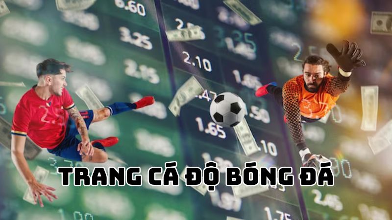 Cá Cược Bóng Đá
