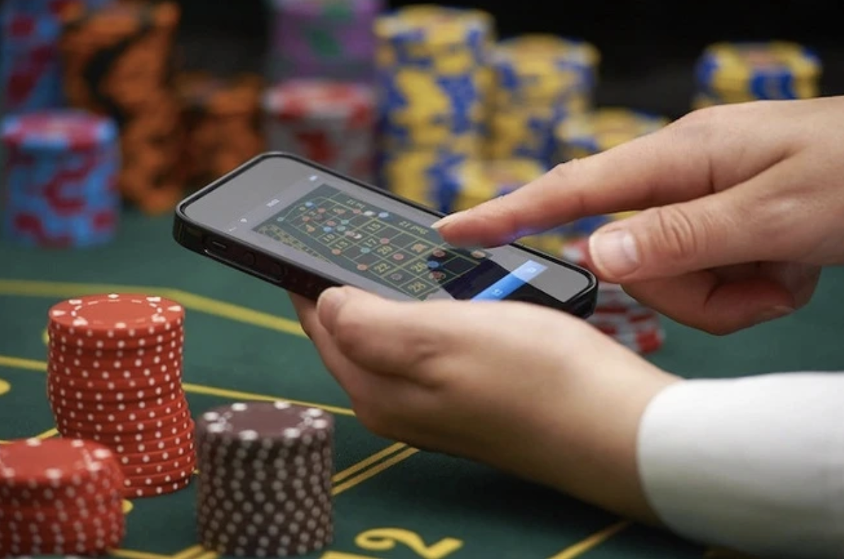 Introducing 88clb bookmaker