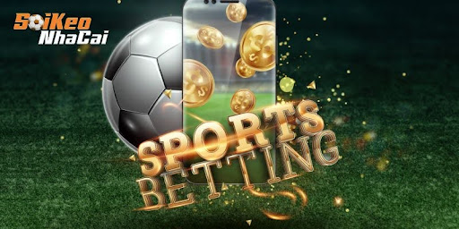 Overview of trends in analyzing bookmaker odds in the digital market.