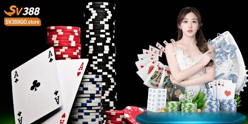 Technical considerations that contribute to the high speed of page load of SV388.