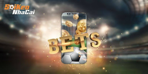 The online data and its significance in the analysis of the odds offered by the bookmakers.