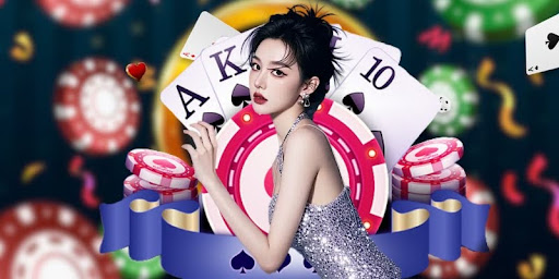 Rewards and Member Privilege Structure