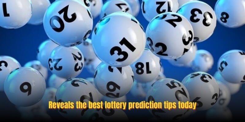 Reveals the best lottery prediction tips today