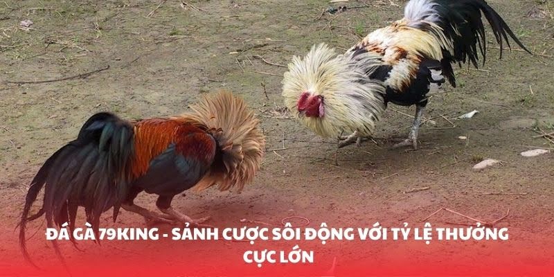 Pointing out the most interesting betting classes in the present day.