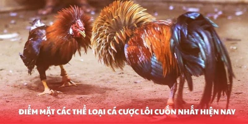 Such factors that contribute to the professional status of cockfighting.