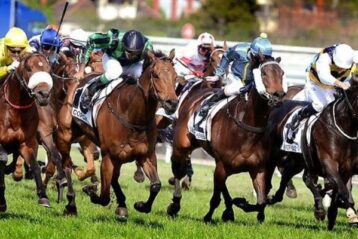 Basic rules for applying horse racing betting tips