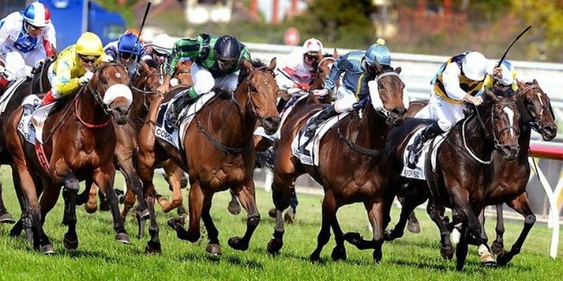 Basic rules for applying horse racing betting tips