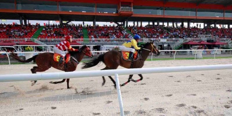 Observe the horse's running and burst style