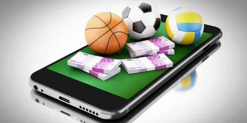 Practical experience helps maximize profits and minimize risks.