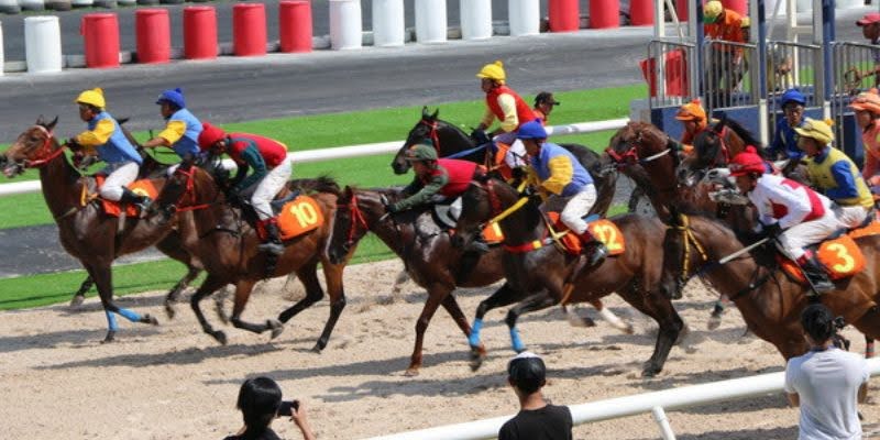 Tips for betting on horse racing using a combined betting strategy