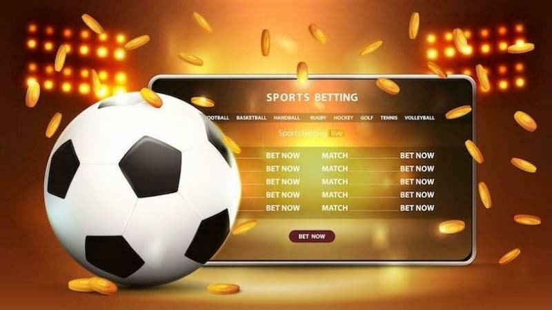 Discover attractive promotions for bettors