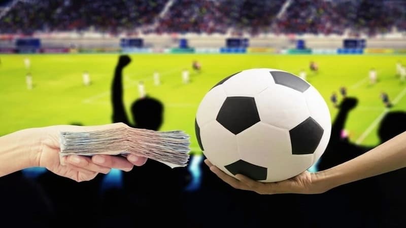 Discover the Most Popular Types of Live Betting