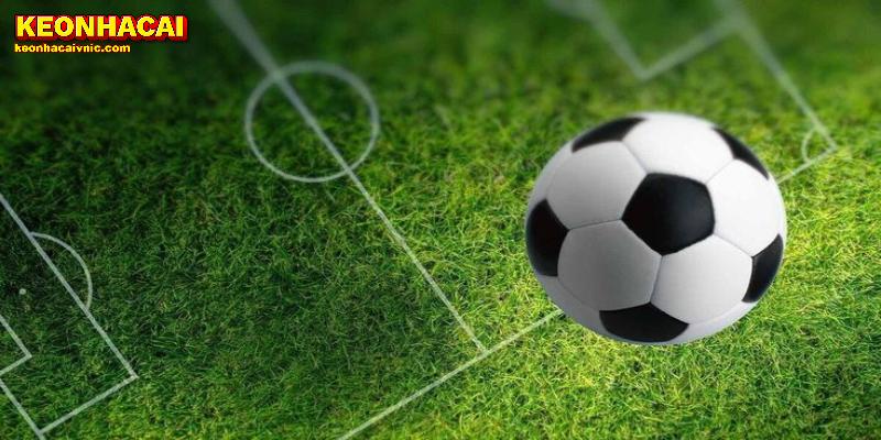 Multiple strategies increase success potential