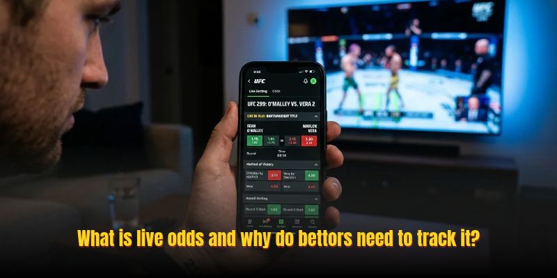 What is live odds and why do bettors need to track it?